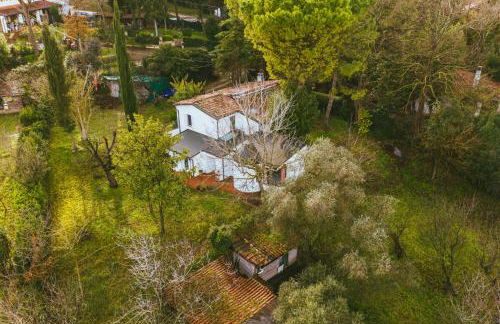 Granducato di Monteballante - Foto 18