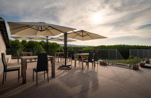 Agriturismo Vitae di Langa - Foto 7