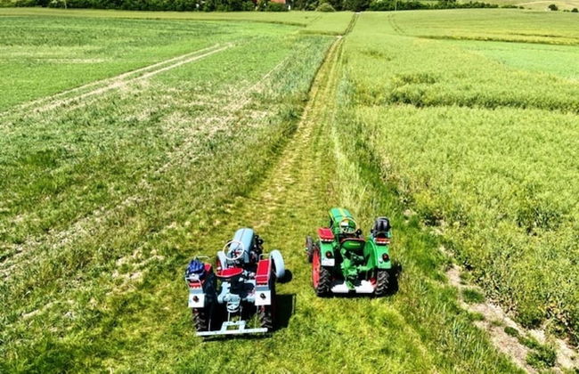 Ferienidyll in Gielow an der Seenplatte - Foto 11