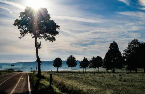 Holiday Home Reinskopf-3 by Interhome - Foto 42