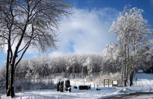 Monis Ferienwohnung - Foto 23