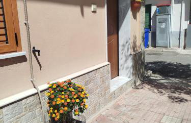 CAMARDA HOME - Foto 3
