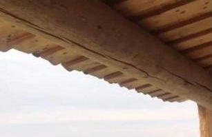 L’île aux fleurs - Foto 6