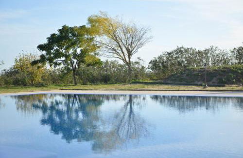 Monte das Palmeiras - Foto 28