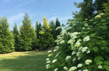 Dom w Sąpach - Foto 68