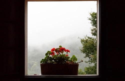 Lugar Dos Devas - Foto 59