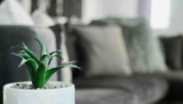 Suite Home Indiana Apartments - Foto 2