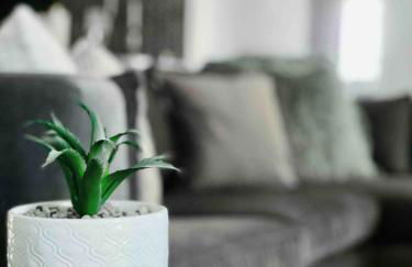 Suite Home Indiana Apartments - Photo 2