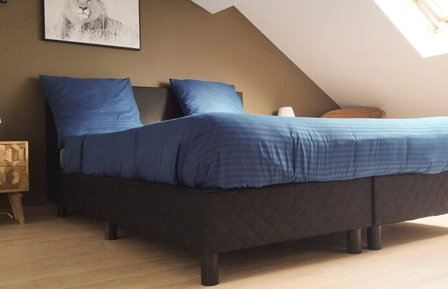 Cosy 2-bedroom Apartment in the Center of Hotton - Photo 6