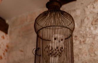 Les sorciers de Lauzerte immersion magique - Foto 14