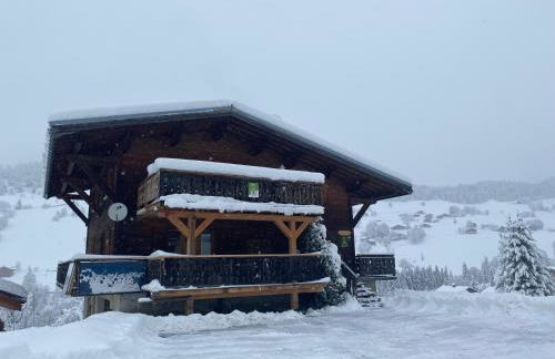 Les Georgières, 300m des pistes du Mont-Rond - Foto 30