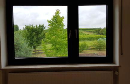 Haus Rebenblick - Foto 12