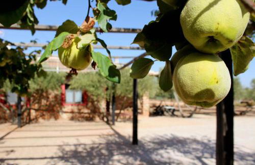 Casas Rurales el Palomar - Foto 35