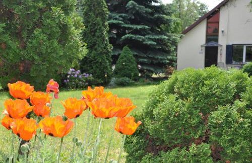 BE WELL 3-Rooms Apartment with Parking and Garden - Foto 37