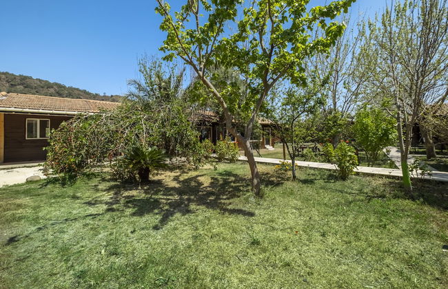 La Maison Hotel Çıralı - Foto 31