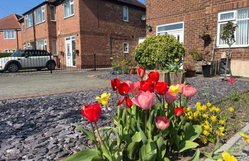 Tiny house with pull down bed - Foto 20