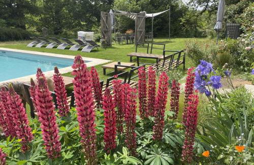 La gare aux oiseaux - Foto 46