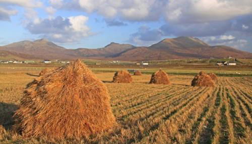 Smiddy Cottage - Foto 2