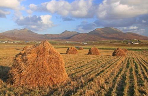 Smiddy Cottage - Foto 2