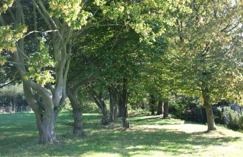 Little Lodge on the Yorkshire Wolds - Foto 59