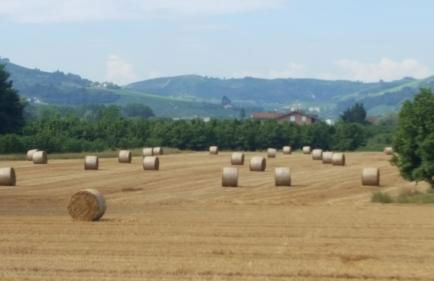 Cascina Longoria - Foto 23
