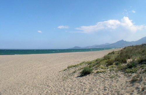 La Marina - Foto 43