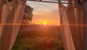 La Libellula - Photo 2