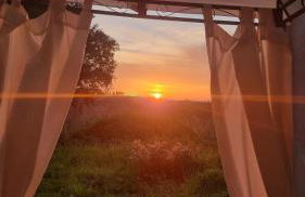 La Libellula - Photo 2