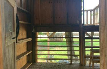 Explore Austin & San Antonio with friends & family - Foto 31