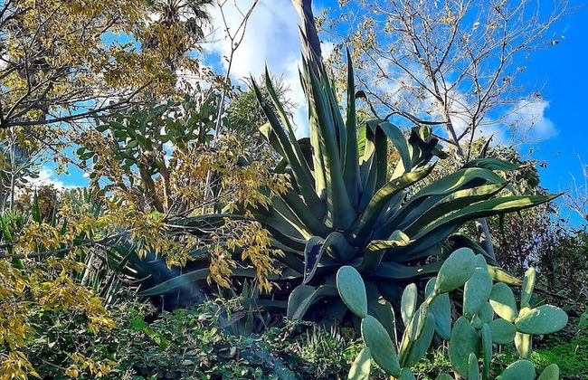 Etna Panoramic Villa With Swimming Pool - Foto 54