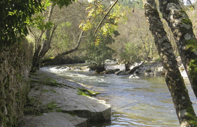 Comfortable Rural Cottage in Ancient Village in the Douro Region - Foto 24