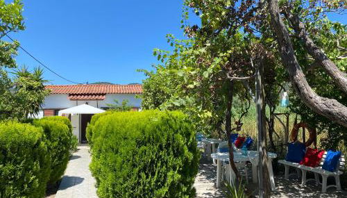 Pitsa's Rooms - Foto 3, Garden, Garden view