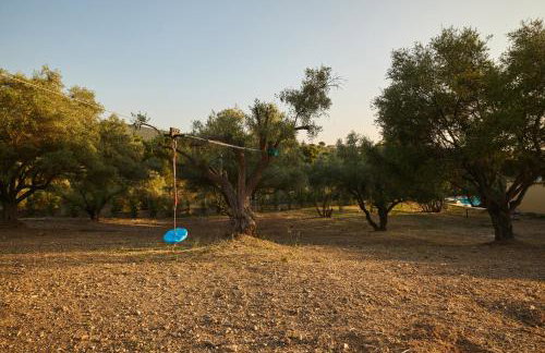 Olive Retreat - Photo 43