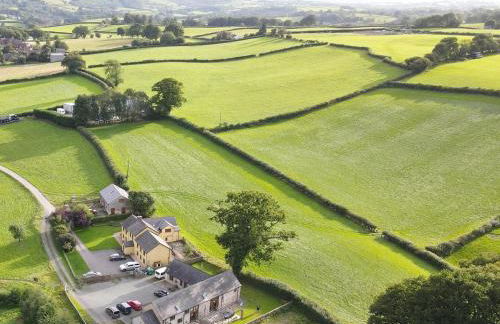 Pwllgwilym B & B - Foto 30