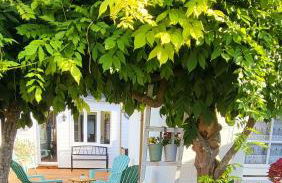 Gîte Pontors'home Mont Saint-Michel - Foto 18