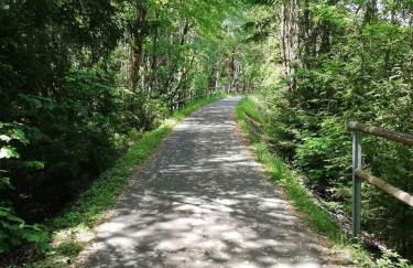 Ferienwohnung Bergwiese - Foto 20