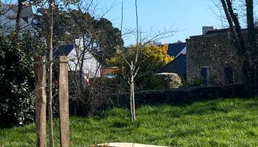 Maison spacieuse à deux pas de la plage … - Foto 5