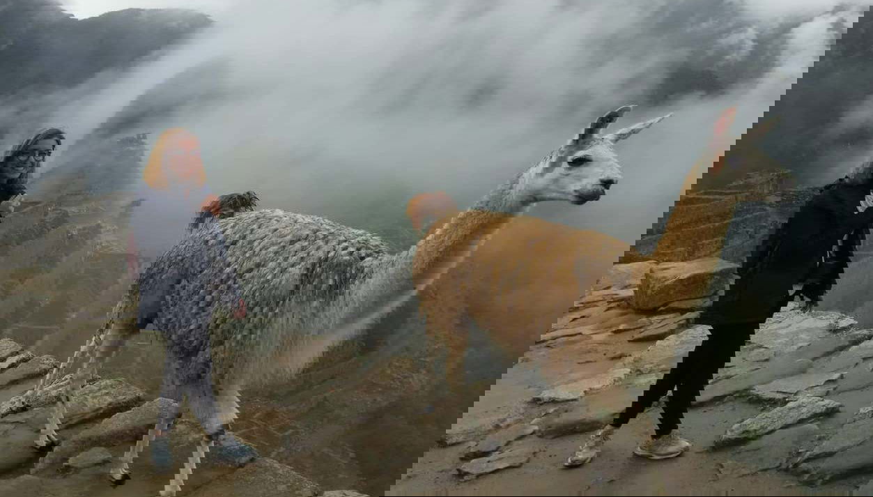 Un touriste avec un lama au Machu Picchu