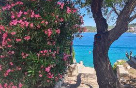 Apartments Valentina Tisno - Photo 64