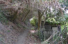 ribeira dos marinheiros amarelo - Foto 21