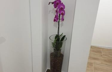 Luxury Villa El Istria with Pool, BBQ, Terrace - Labin-Rabac - Foto 45