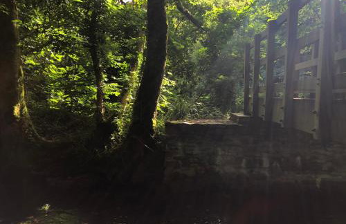 Spaven Mor, Near Penzance Stations, 3 bedroom home - Photo 25