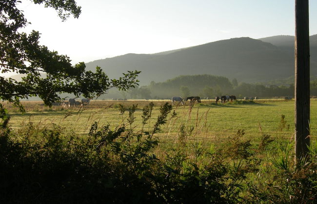 Mas d'Aravó - Foto 42