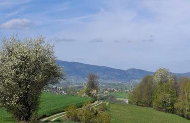 Górska Otulina - Foto 29