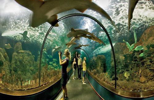 CASA TAYRI DE TAMAIDE TENERIFE SUR - Foto 46