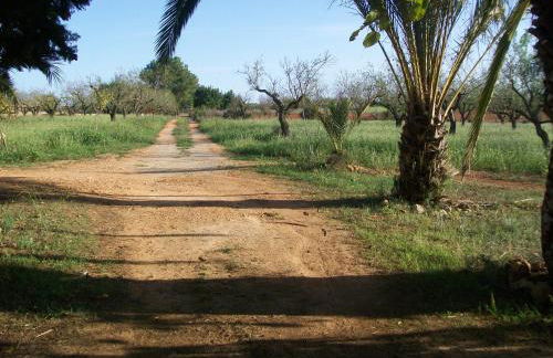 Ca´n Brusquer - Foto 12