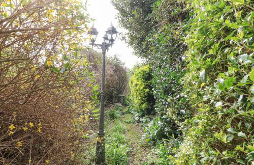 Primrose Cottage - Photo 31