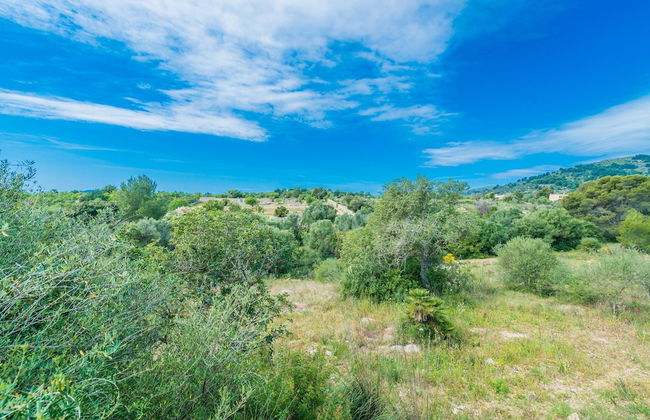 Can Canals in Art With 5 Bedrooms and 4 Bathrooms - Foto 34