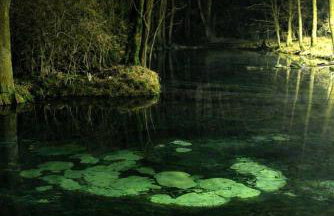 Apartament Corner Cappuccino z wanną z hydromasażem w centrum Tomaszowa! Parliamo anche Italiano! - Foto 24