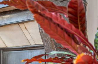 Le passage du renard pour 6 personnes avec parking - Foto 32